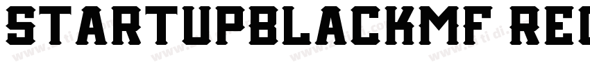 StartUpBlackMF Regul字体转换